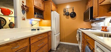 Spy Pond Condominiums unit 308, Arlington, MA 02474 - photo 7