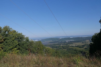 0 Hall Hollow Rd unit LotWP001 24773382, Austinville, VA 24312 - photo 5