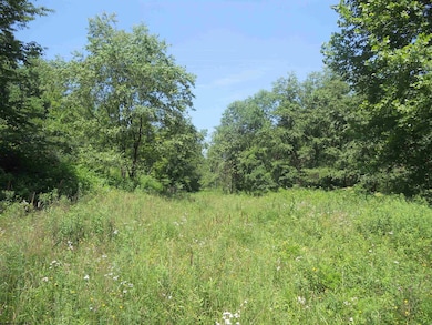 595 Wades Run and Bowlby Rd, Morgantown, WV 26501 - photo 5