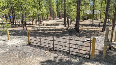 Rear Gate