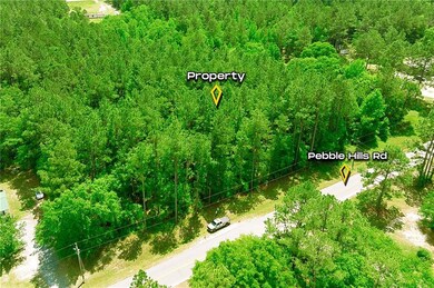 Aerial view with a view of trees
