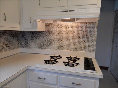 Brand new range hood.  Newer cooktop.  Love the ti