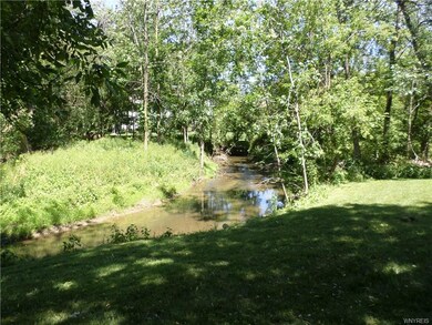 Gott Creek View