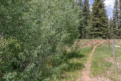 0 Highway 145 unit 42780, Dolores, CO 81323 - photo 6