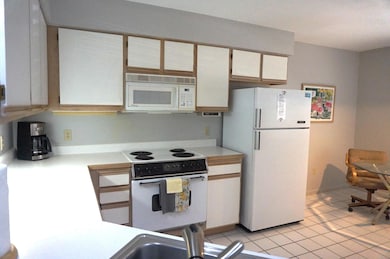 255 Wimbledon Dr unit 3, Branson, MO 65616 - photo 4