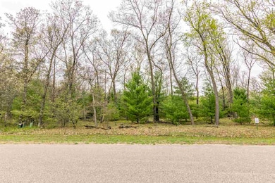 L30 Czech Pass, Preston, WI 53934 - photo 2