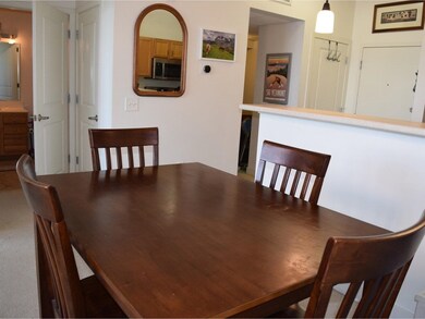 370 Farrell St unit 419, South Burlington, VT 05403 - photo 6