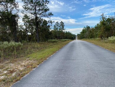 000 SW Admiral Landing Dr, Dunnellon, FL 34431 - photo 2