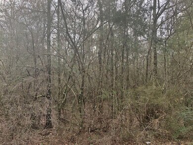 000 Old Hwy 24, McComb, MS 39648 - photo 3