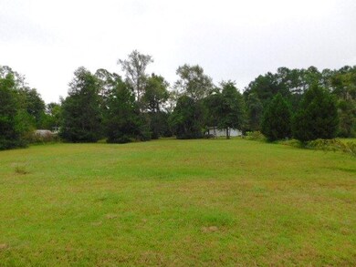 Lot 34 Jim Truesdell Rd SE, Darien, GA 31305 - photo 3