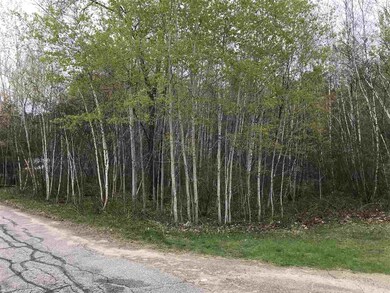 0 Fairway Dr unit 4 4752646, Ashland, NH 03217 - photo 2