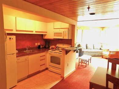 90 Loon Mountain Rd unit 866B, Lincoln, NH 03251 - photo 5