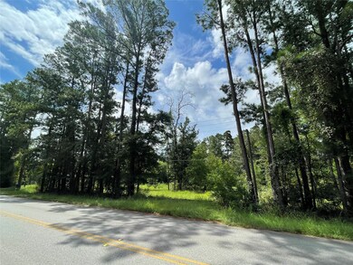 26475 Joseph Rd, Hockley, TX 77447 - photo 4