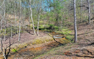 Additional View
