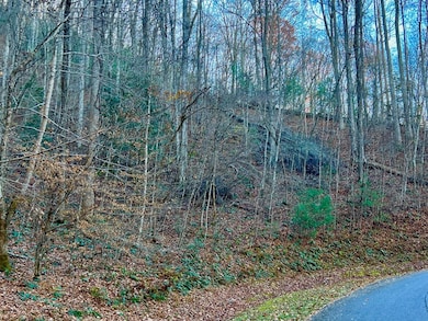 22 Davis Walker Ridge, Mineral Bluff, GA 30559 - photo 4