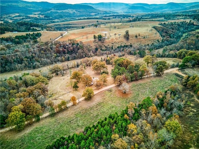 974 Nc 4540, Mount Judea, AR 72655 - photo 4