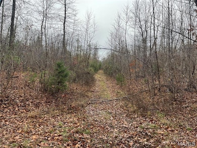 Madison 244 County Road 244, Fredericktown, MO 63645 - photo 2