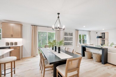 413 James Pkwy, Elko New Market, MN 55054 - photo 5