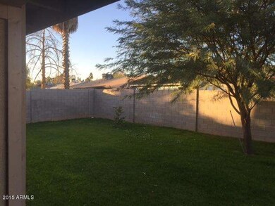 Back Yard