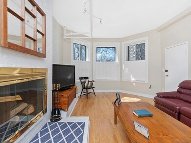 340 Tappan St unit B, Brookline, MA 02445 - photo 7