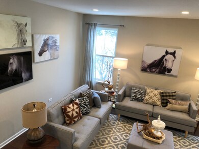 3736 Tramore Ct, Naperville, IL 60564 - photo 6