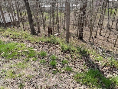 1189 Hillcrest Dr, Saint Albans, WV 25177 - photo 2