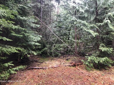 Subject property
