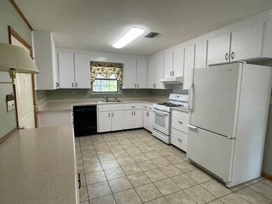 169 Carl Cloud Rd, Climax, GA 39834 - photo 7