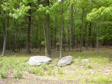 892 / 893 Pico Ln, Blooming Grove Township, PA 18464 - photo 5