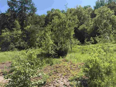 177 Jericho Rd, Berlin, NH 03570 - photo 2