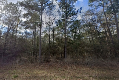 0 Zapata Way unit Willis TX 77378, Willis, TX 77378 - photo 7