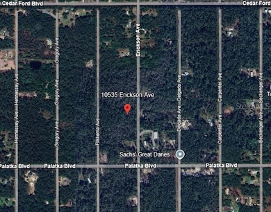 10535 Erickson Ave, Flagler Estates, FL 32145 - photo 6