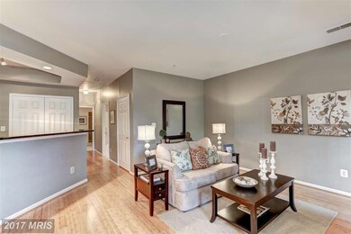 1313 Garden Wall Ct unit 808, Reston, VA 20194 - photo 4