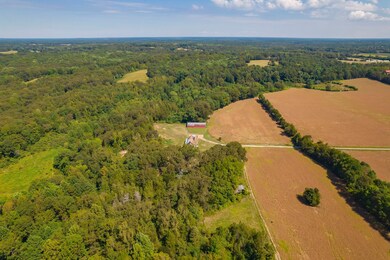 290 Leeford Ln, Cedar Grove, TN 38321 - photo 3