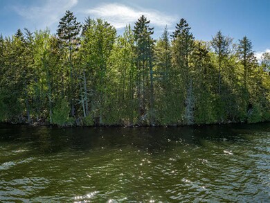 IMG-9581