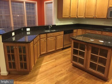 25334 Understanding Ct, Aldie, VA 20105 - photo 4