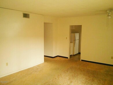 Living Room View into Entry to Kitchen