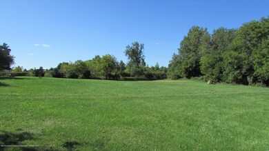 IMG_1460