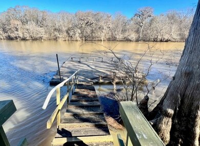 468 Half Moon Lake Rd, Baxley, GA 31513 - photo 4