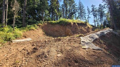 4125 Jackson Ln NE, Silverton, OR 97381 - photo 4