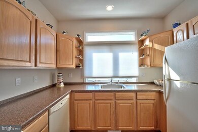 213 W 21st St, Ship Bottom, NJ 08008 - photo 7