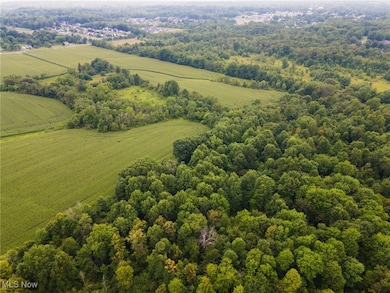 3810 Center Rd, Youngstown, OH 44514 - photo 2