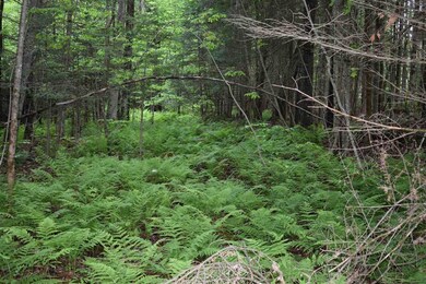 461 Manns Hill Rd, Littleton, NH 03561 - photo 2