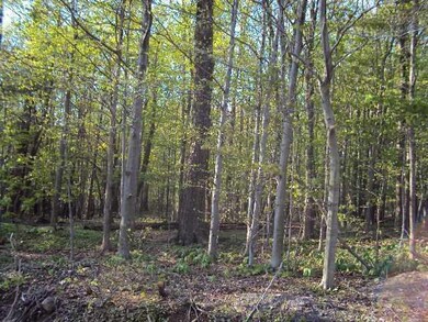 Land/Lot