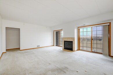 14130 Sheffield Dr unit 302, Homer Glen, IL 60491 - photo 7