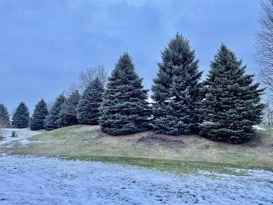 24248 Walnut Cir, Plainfield, IL 60585 - photo 4