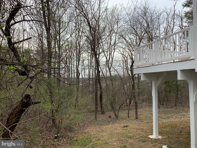 12800 Ledo Creek Terrace, Beltsville, MD 20705 - photo 6