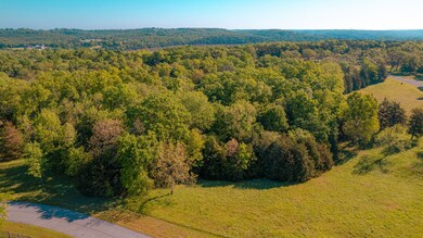 TBD Lodge Circle Lot #Wp002, Galena, MO 65656 - photo 4
