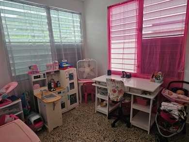 165 Calle Barcelo, Barranquitas, PR 00794 - photo 7