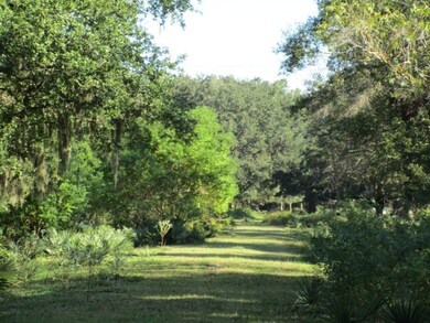 0 County Road 400 unit 62180, Brazoria, TX 77422 - photo 3